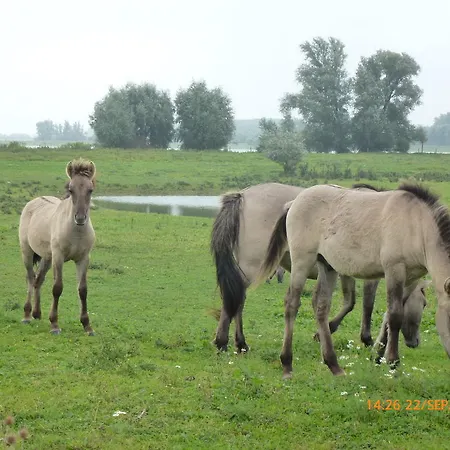 Alphen Gld - Alphen (North Brabant)