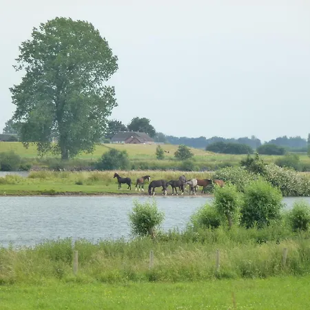 Bed & Breakfast Alphen Gld - Alphen (North Brabant)