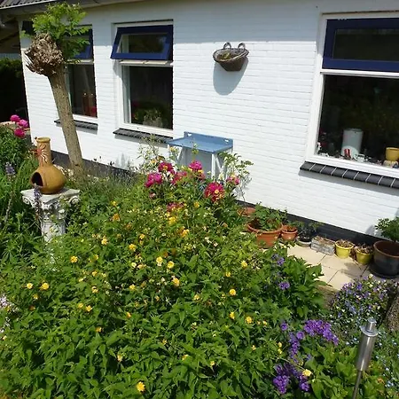 Bed & Breakfast Alphen Gld - *
