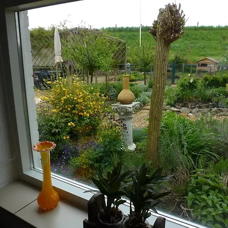 Bed & Breakfast Alphen Gld - *