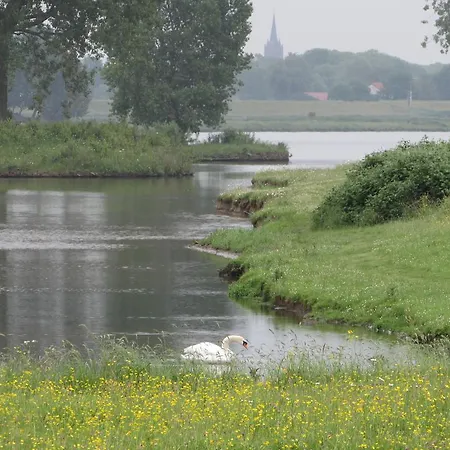Bed & Breakfast Alphen Gld - *