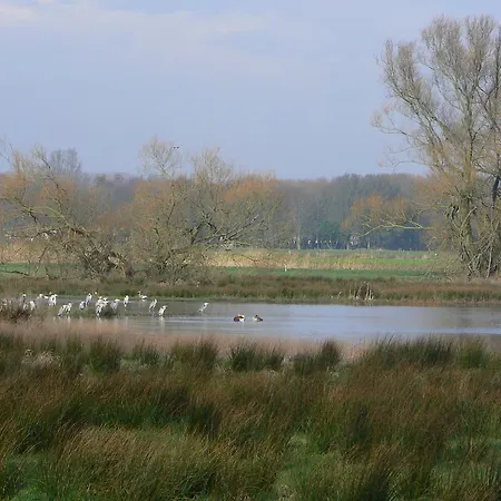 Bed & Breakfast Alphen Gld - Alphen (North Brabant)