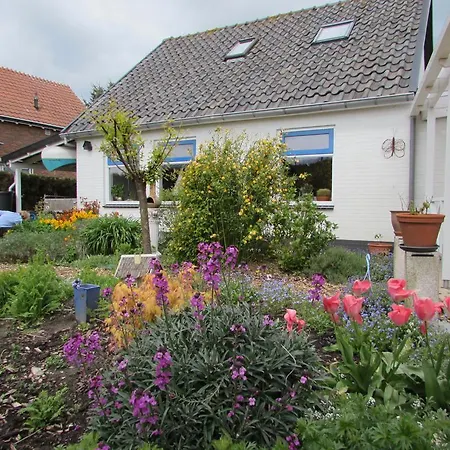 Bed & Breakfast Alphen Gld - Alphen (North Brabant)